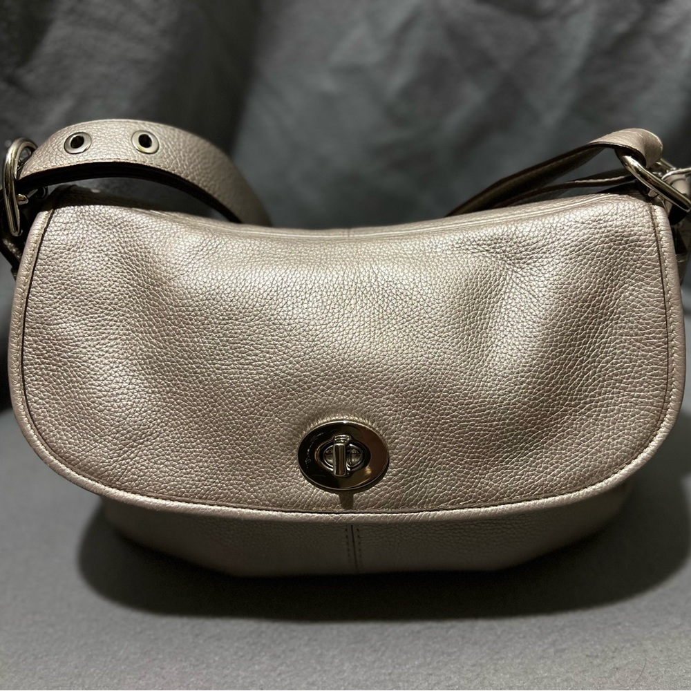 Pewter Coach Bag